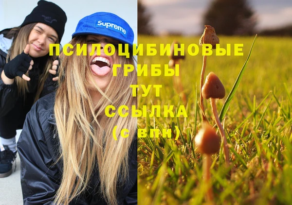mix Абинск