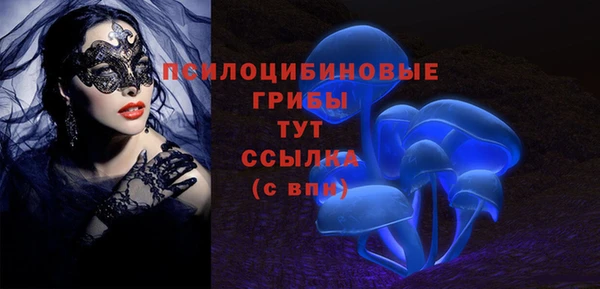гидропоника Абаза