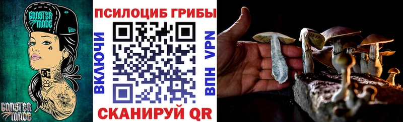Псилоцибиновые грибы мухоморы даркнет сайт Почеп